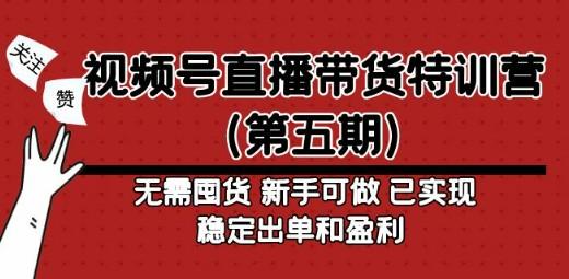 视频号直播带货特训营（第五期）无需囤货 新手可做 已实现稳定出单和盈利-成长印记