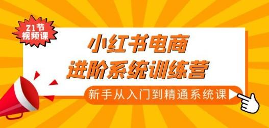 小红书电商进阶系统训练营：新手从入门到精通系统课（21节视频课）-成长印记