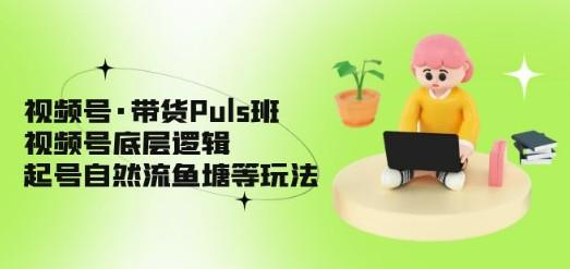 视频号·带货Puls班，视频号底层逻辑，起号自然流鱼塘等玩法-成长印记