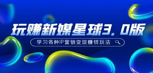 《玩赚新媒星球3.0版》学习各种IP营销变现赚钱玩法（价值498）-成长印记