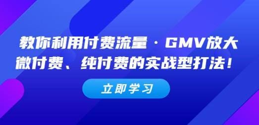 教你利用付费流量·GMV放大，微付费、纯付费的实战型打法！-成长印记