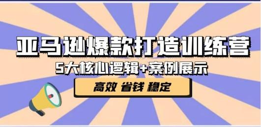 亚马逊爆款打造训练营：5大核心逻辑+案例展示 打造爆款链接 高效 省钱 稳定-成长印记