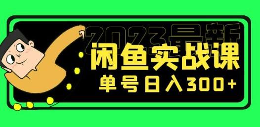 花599买的闲鱼项目：2023最新闲鱼实战课，单号日入300+（7节课）-成长印记