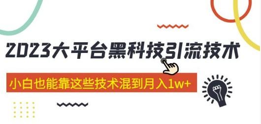 价值4899的2023大平台黑科技引流技术 小白也能靠这些技术混到月入1w+29节课-成长印记