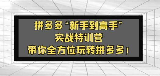 拼多多“新手到高手”实战特训营：带你全方位玩转拼多多！-成长印记