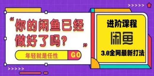 火爆全网的咸鱼玩法进阶课程，单号日入1K的咸鱼进阶课程-成长印记