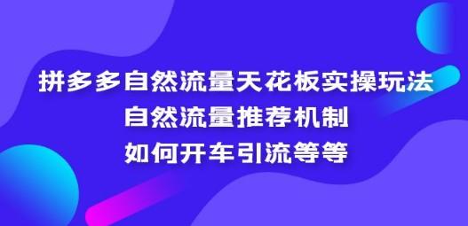 拼多多自然流量天花板实操玩法：自然流量推荐机制，如何开车引流等等-成长印记