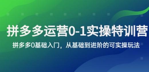 拼多多-运营0-1实操训练营，拼多多0基础入门，从基础到进阶的可实操玩法-成长印记