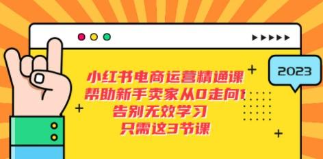 小红书电商·运营精通课，帮助新手卖家从0走向1 告别无效学习（7节视频课）-成长印记