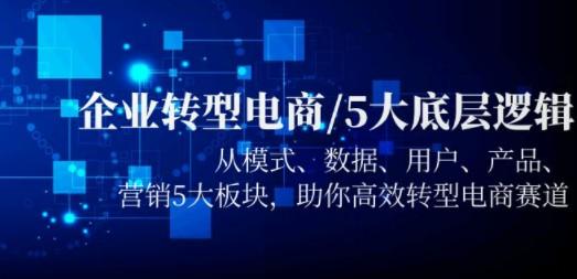 企业转型电商/5大底层逻辑，从模式 数据 用户 产品 营销5大板块，高效转型-成长印记