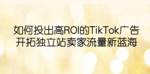 如何投出高ROI·TikTok广告，开拓独立站卖家流量新蓝海-成长印记