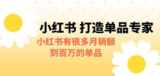 某公众号付费文章《小红书 打造单品专家》小红书有很多月销额到百万的单品-成长印记