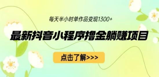 最新抖音小程序撸金躺赚项目，一部手机每天半小时，单个作品变现1300+-成长印记