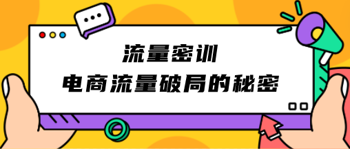 流量密训：电商流量破局的秘密-成长印记