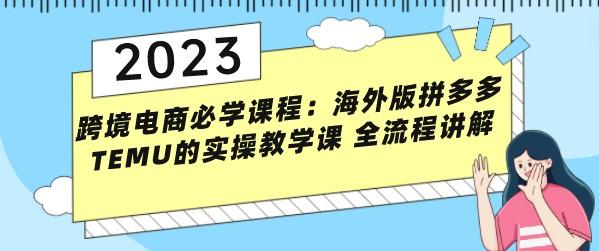 跨境电商必学课程：海外版拼多多TEMU的实操教学课 全流程讲解-成长印记