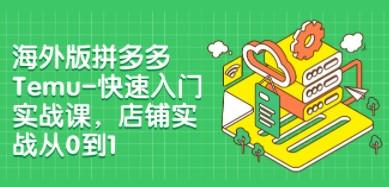 海外版拼多多Temu-快速入门实战课，店铺实战从0到1（12节课）-成长印记