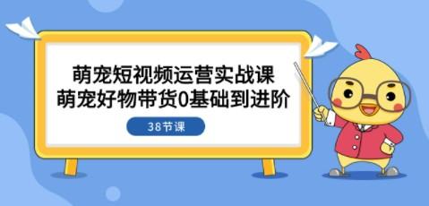 萌宠·短视频运营实战课：萌宠好物带货0基础到进阶（38节课）-成长印记