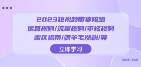 2023短视频·带货陪跑：运算规则/流量规则/审核规则/雷区指南/薅羊毛涨粉..-成长印记