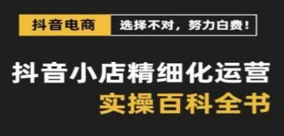 抖音小店 精细化运营-百科全书，保姆级运营实战讲解（28节课）-成长印记