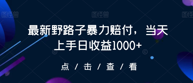 最新野路子暴力赔付，当天上手日收益1000+【仅揭秘】-成长印记