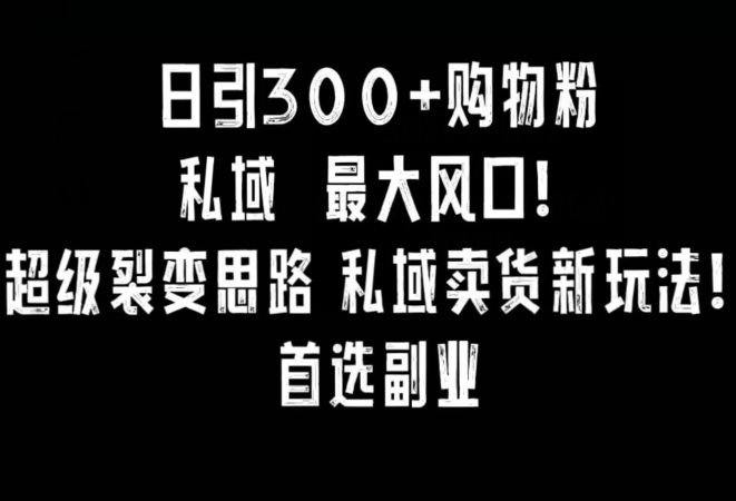 日引300+购物粉，超级裂变思路，私域卖货新玩法，小红书首选副业【揭秘】-成长印记