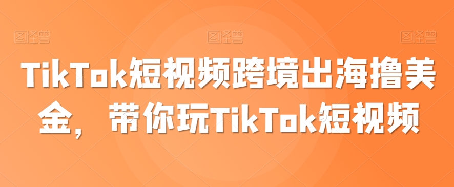 TikTok短视频跨境出海撸美金，带你玩TikTok短视频-成长印记