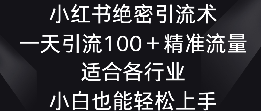 小红书绝密引流术，一天引流100+精准流量，适合各个行业，小白也能轻松上手【揭秘】-成长印记