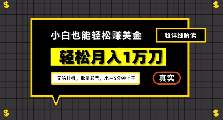 谷歌看广告撸美金2.0，无脑挂机，多号操作，月入1万刀【揭秘】-成长印记