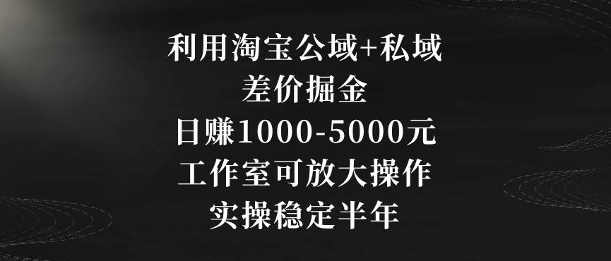 利用淘宝公域+私域差价掘金，日赚1000-5000元，工作室可放大操作，实操稳定半年【揭秘】-成长印记