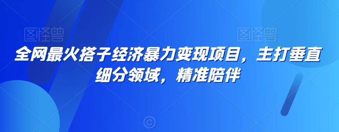 全网最火搭子经济暴力变现项目，主打垂直细分领域，精准陪伴【揭秘】-成长印记