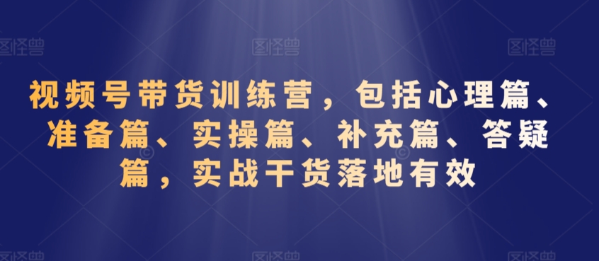 视频号带货秘籍：揭秘商机，手把手教你月入过万视频号带货全景指南：掌握电商新阵地-成长印记