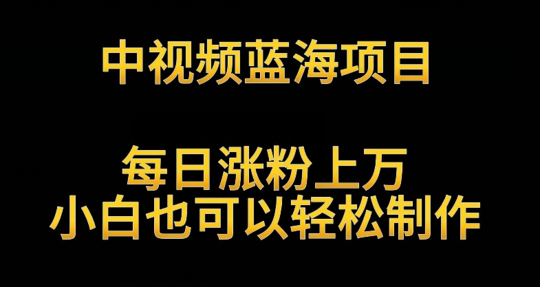 中视频蓝海项目，解读英雄人物生平，每日涨粉上万，小白也可以轻松制作，月入过万不是梦【揭秘】-成长印记