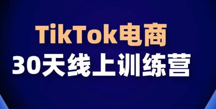 30天逆袭！TikTok电商带货实战课，让你从0到1成为带货达人抓住TikTok流量红利，30天线上课助你打造爆款-成长印记