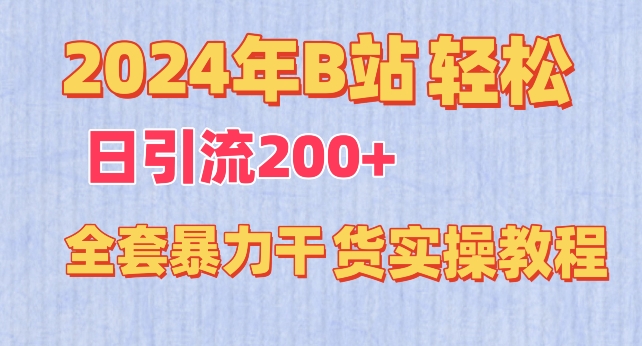 2024年B站轻松日引流200+的全套暴力干货实操教程【揭秘】-成长印记