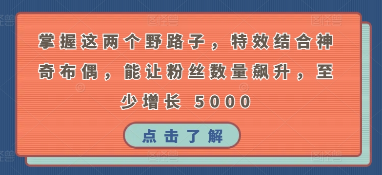 掌握这两个野路子，特效结合神奇布偶，能让粉丝数量飙升，至少增长 5000【揭秘】-成长印记