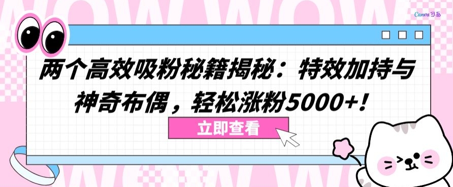 两个高效吸粉秘籍揭秘：特效加持与神奇布偶，轻松涨粉5000+【揭秘】-成长印记