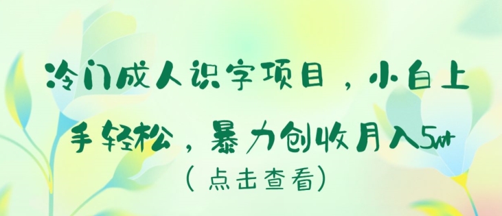 冷门成人识字项目，小白上手轻松，暴力创收月入5w+【揭秘】-成长印记