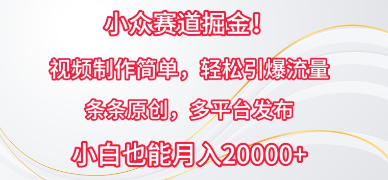 小众赛道掘金，视频制作简单，轻松引爆流量，条条原创，多平台发布【揭秘】-成长印记