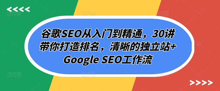 谷歌SEO从入门到精通，30讲带你打造排名，清晰的独立站+Google SEO工作流-成长印记