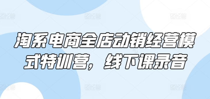 淘系电商全店动销经营模式特训营，线下课录音-成长印记