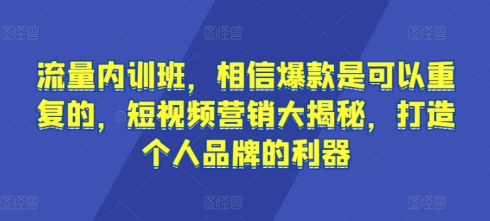 流量内训班，相信爆款是可以重复的，短视频营销大揭秘，打造个人品牌的利器-成长印记