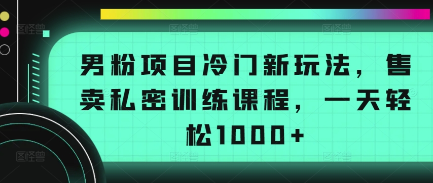 男粉项目冷门新玩法，售卖私密训练课程，一天轻松1000+【揭秘】-成长印记