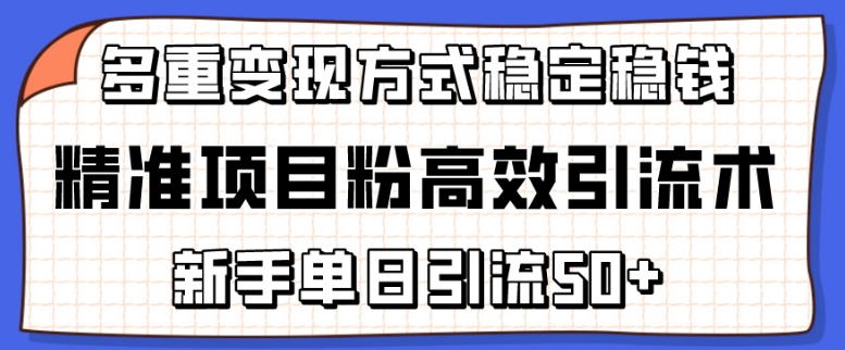 精准项目粉高效引流术，新手单日引流50+，多重变现方式稳定赚钱【揭秘】-成长印记