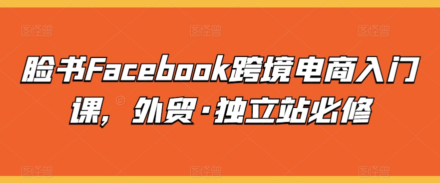 脸书Facebook跨境电商入门课，外贸·独立站必修-成长印记