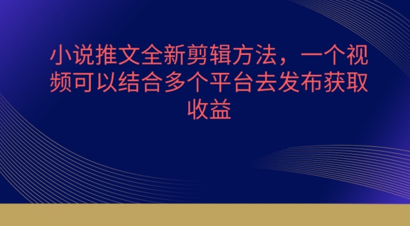 小说推文全新剪辑方法，一个视频可以结合多个平台去发布获取【揭秘】-成长印记