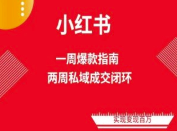 爆款小红书免费流量体系课程(两周变现)，小红书电商教程-成长印记