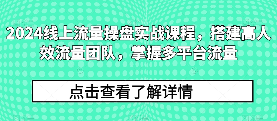 2024线上流量操盘实战课程，搭建高人效流量团队，掌握多平台流量-成长印记