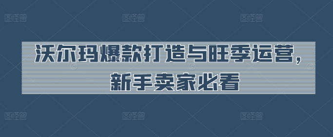 沃尔玛爆款打造与旺季运营，新手卖家必看-成长印记