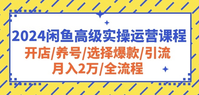 2024闲鱼高级实操运营课程：开店/养号/选择爆款/引流/月入2万/全流程-成长印记