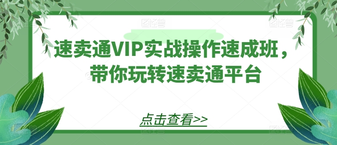 速卖通VIP实战操作速成班，带你玩转速卖通平台-成长印记